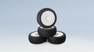 v11whitedish31